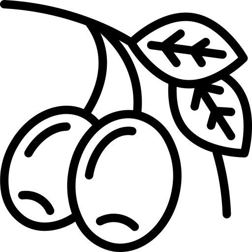 Uliveti