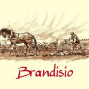 Cantina Oreste Tombolini – Brandisio il Primitivo dell’Ammiraglio